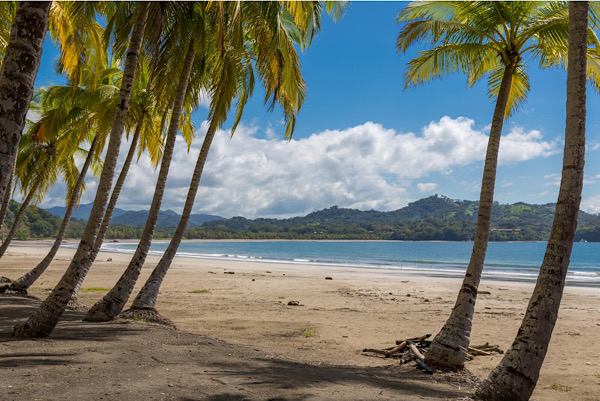 
      Playa Samara
      